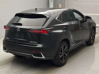 Lexus NX300h