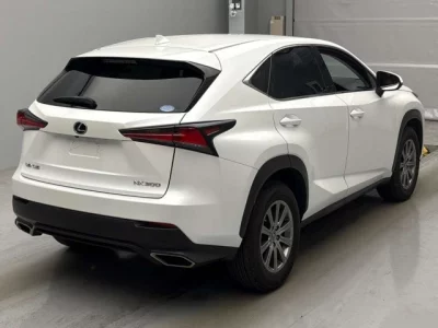Lexus NX300