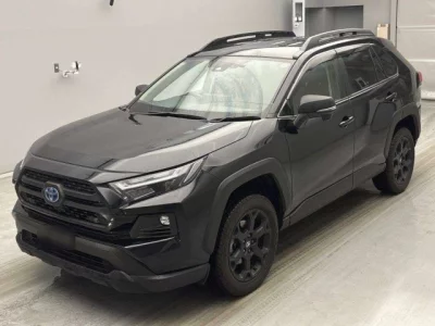 Toyota RAV4  с аукциона в Японии