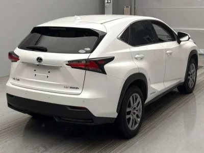 Lexus NX300h
