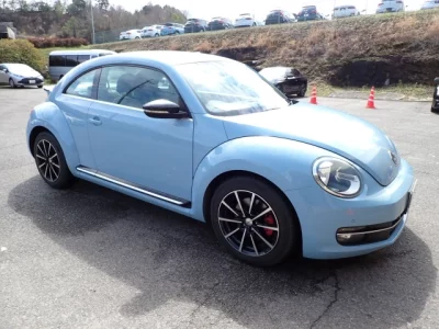 Volkswagen THE BEETLE