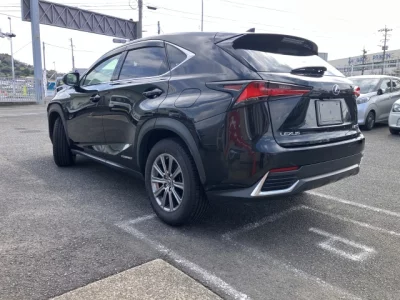 Lexus NX300h