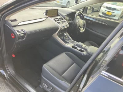 Lexus NX300h