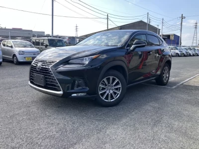 Lexus NX300h