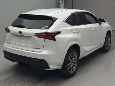 Lexus NX300h