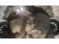 Daihatsu WAKE лот № 30009 оценка 4.5  с аукциона в Японии 10