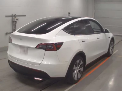 Tesla MODELY