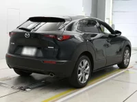 Mazda CX-30 лот № 36331 оценка 4.5  с аукциона в Японии 1