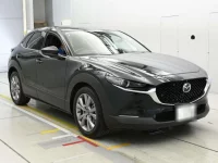 Mazda CX-30 лот № 36331 оценка 4.5  с аукциона в Японии 4