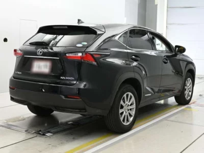 Lexus NX300h