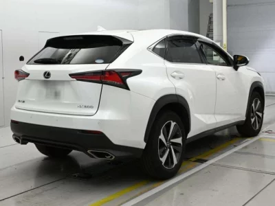 Lexus NX300