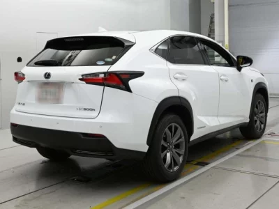 Lexus NX300h