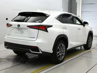 Lexus NX300h