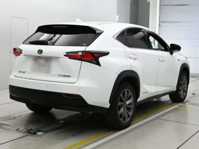 Lexus NX300h