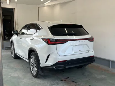Lexus NX450h+