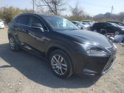 Lexus NX300h