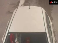 Toyota VITZ лот № 30696 оценка 3.5  с аукциона в Японии 8