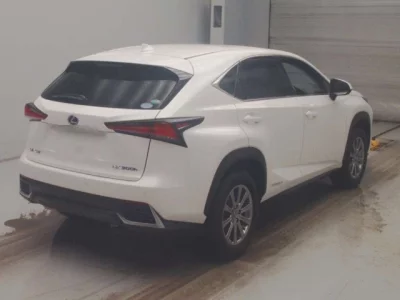 Lexus NX300h