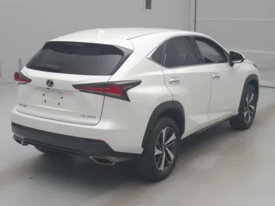 Lexus NX300
