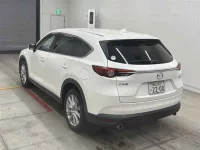 Mazda CX-8 лот № 30099 оценка 4  с аукциона в Японии 1