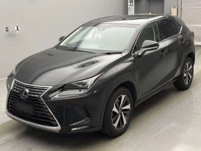 Lexus NX300
