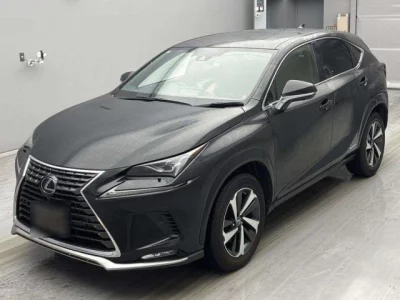Lexus NX300h