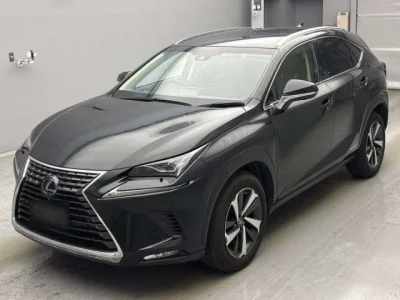 Lexus NX300h