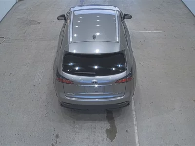Lexus NX300h