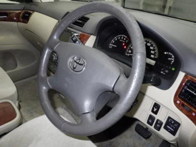 Toyota Ipsum