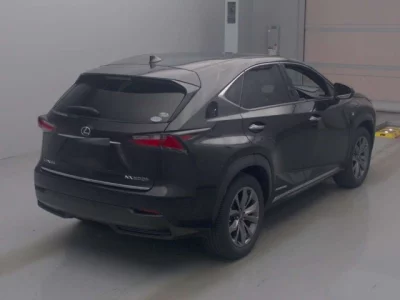 Lexus NX300h