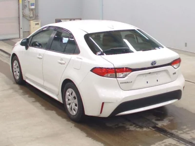 catalog-car-6