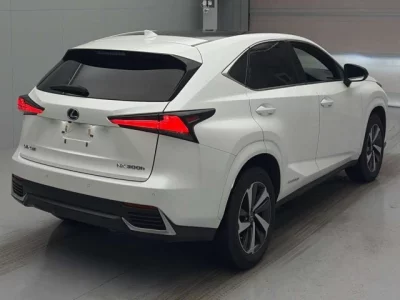 Lexus NX300h