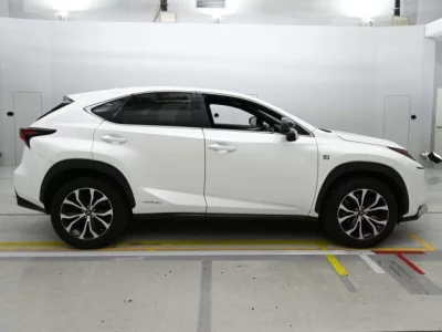 Lexus NX300h