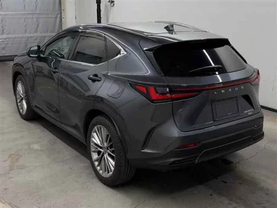 Lexus NX450h+