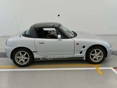 Suzuki Cappuccino