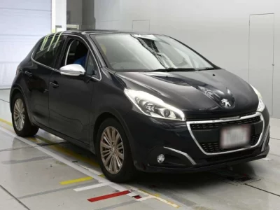 catalog-car-5