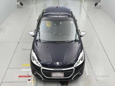catalog-car-7