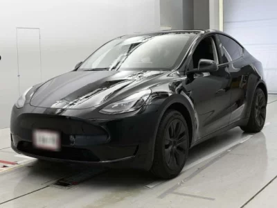 Tesla MODELY