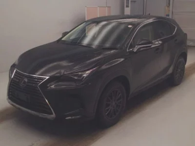 Lexus NX300
