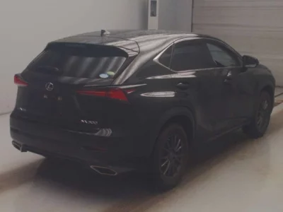 Lexus NX300