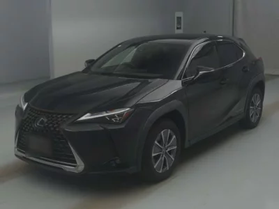 Lexus UX300e