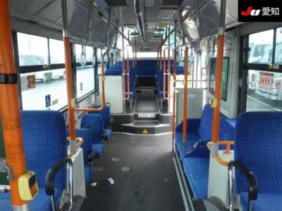 Hino Blue Ribbon
