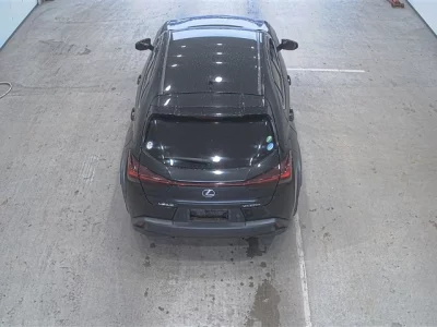 Lexus UX250h