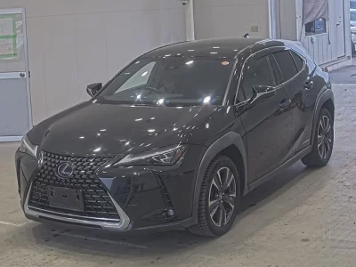 Lexus UX250h