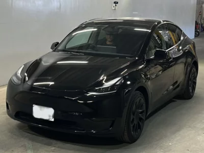 Tesla MODELY