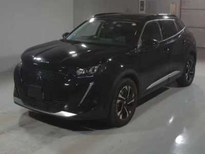 Peugeot e-2008