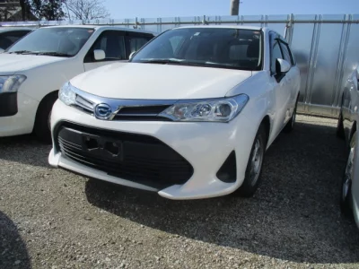 Toyota Corolla Fielder