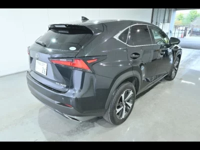 Lexus NX300