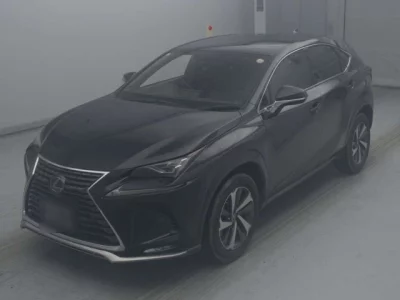 Lexus NX300