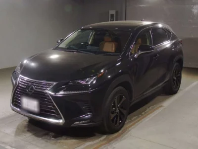 Lexus NX300